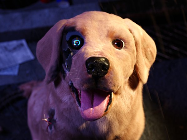 Sammy, a model GRP-113 robopup